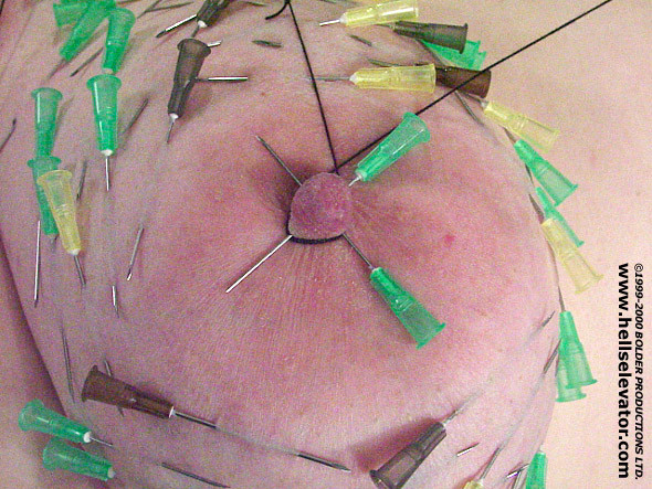 Travail des seins6 (110)