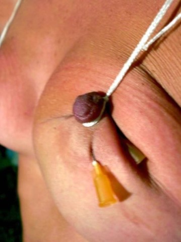 Travail des seins8 (153)