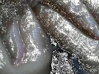 GIF02