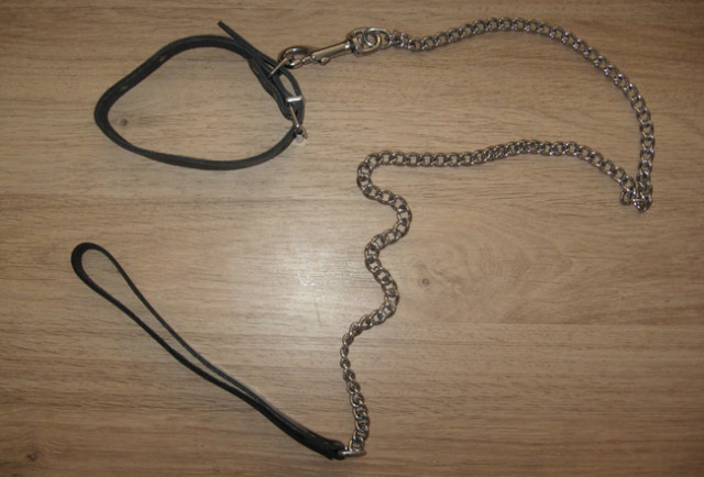 Collier+Laisse