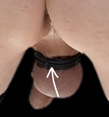 Fait envie ou pas Gallery