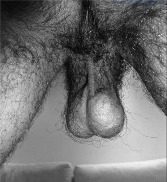 Hairy-Muscle-Man-Showing-Cock-5.jpg
