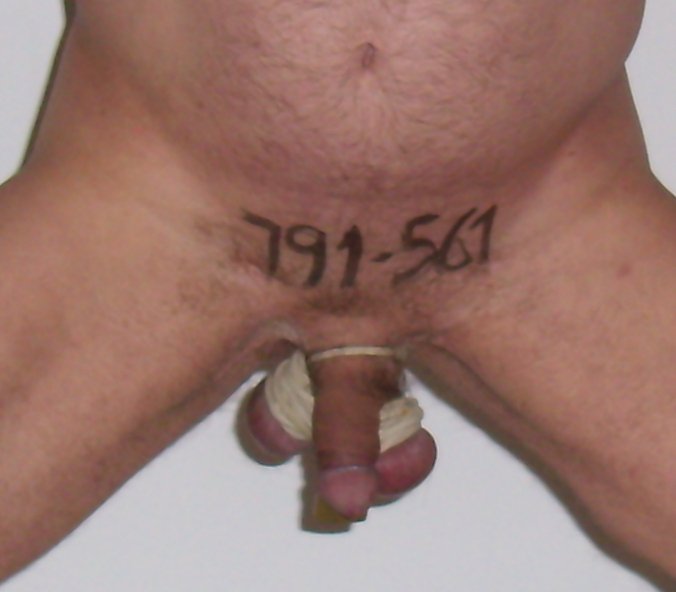 Image2
