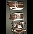Orthèses de jambes/ Leg Braces