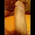 Bonne-Bouche-a Tourner