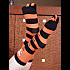 chaussettes-a-doigts