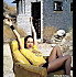 Photos de Stars