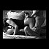 Plaisirs-partages