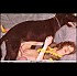 Femmes-zoophilie-avec-chien