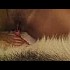 Femmes-zoophilie-avec-chien
