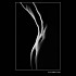 charme-noir-et-blanc