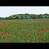 Mes photos : Paysages