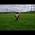 au-feu--