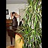 la-le-on-de-piano