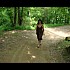 manon-des-sources