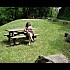 manon-des-sources