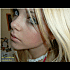 contribution-d-amateur