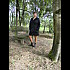 foret-de-la-roche