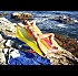 répertoire-33