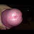 Vos-contribution-2