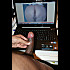 Vos-contribution-2