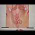 Vos-contribution-2