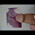 Vos-contribution-2