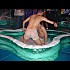 divers 3