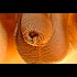 p-tite-goutte