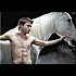 Horse-Nature
