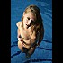 Photo-sexy---la-piscine--