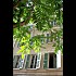 Le-Sud