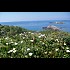 Le-Sud