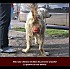 Toutes les images