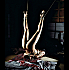 z Les photos bdsm III