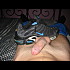 nike-fluo