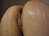 7 dec 2012 020