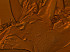 dsc03319ch.jpg
