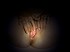 masseur6.jpg