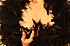 Plume_0287.jpg