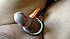 piercing Gland (4)