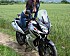 2008-05-22----50-Low.jpg