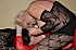 FIGHT-EN-COLLANT_7725.jpg
