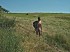 du-nu---gogoN60071.jpg