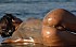paulina_03988_16.jpg