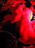 IMG-0115.JPG