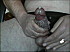baveuse_08.jPg