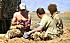 acdgharryafg1.jpg
