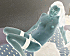 P1010017.gif