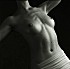 Why-Not-002.jpg